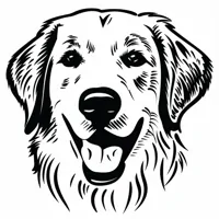 Zlatý retriever