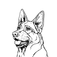 Nemecký ovčiak