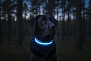 Svietiaci obojok Laron