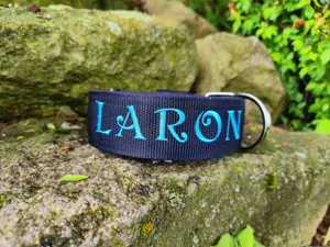Popruhové obojky LARON s menom 