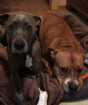 Rony a Lara