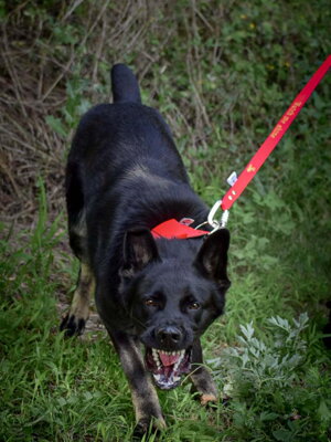 Vodítka LARON Vodítka LARON