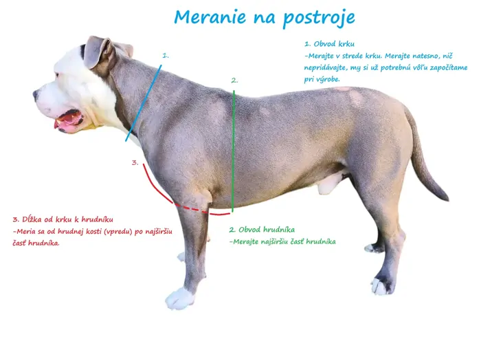Meranie na postroje