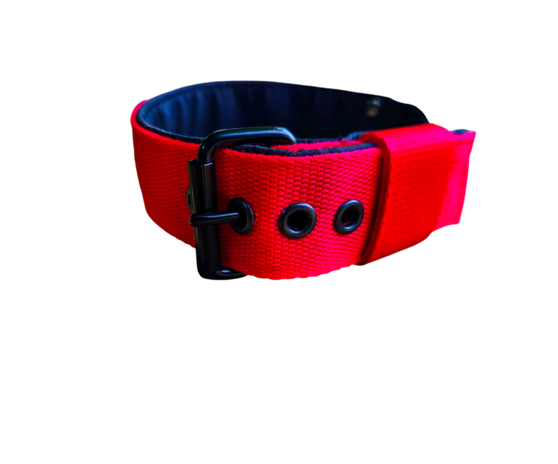 Červený popruhový obojok LARON M/L