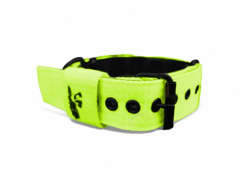 Popruhový obojok LARON  zelený