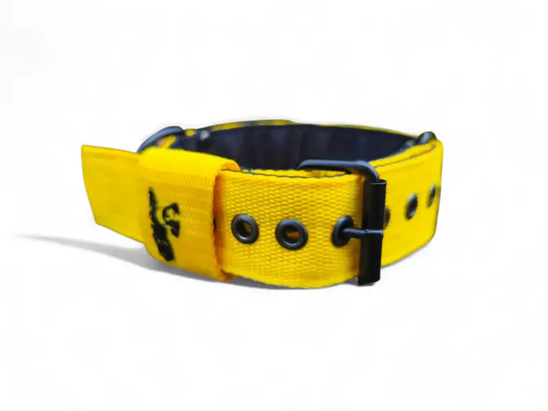 2,5cm, obvod 26 - 36cm obojok LARON žltý