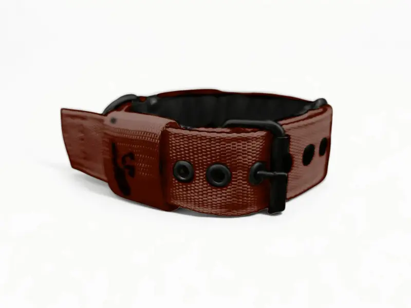 Popruhový obojok LARON  hnedý