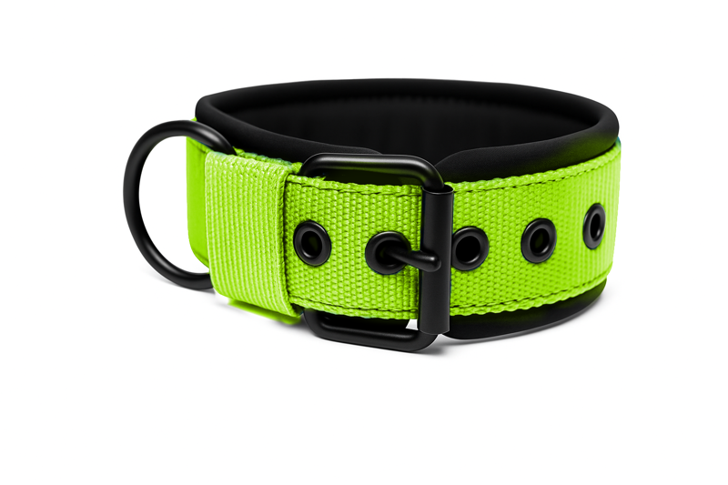 Popruhové obojky LARON Comfort zelený 
