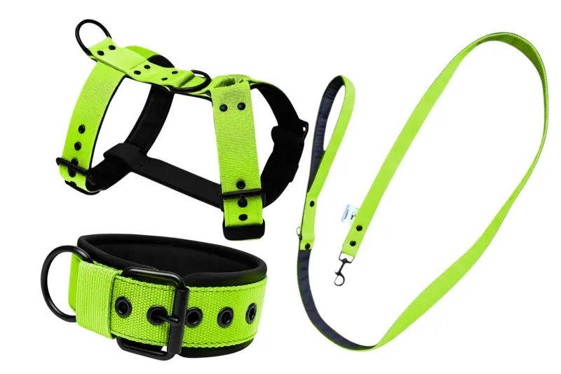 Set popruhový obojok LARON Comfort a popruhové vodítko LARON a postroj LARON 