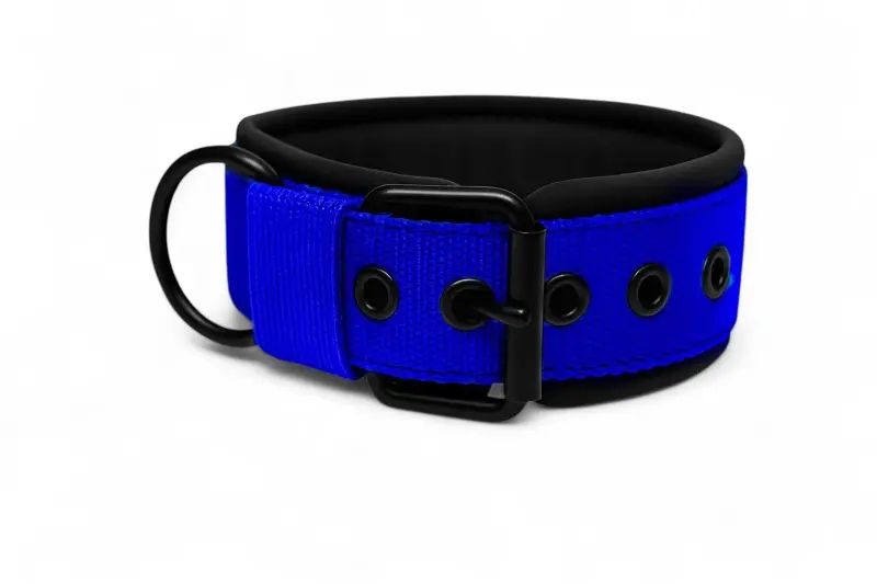 Popruhové obojky LARON Comfort modrý