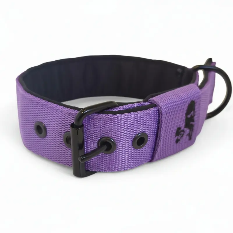 Popruhový obojok LARON fialový 