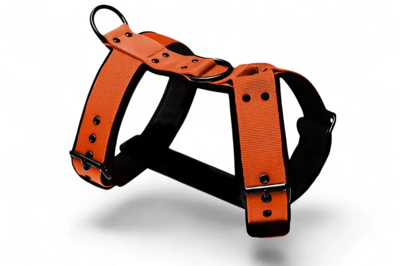 Popruhový postroj LARON Comfort oranžový