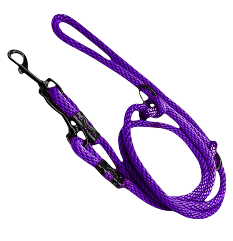 PurplePulse - Vodítka LARON fialové pre malé psy PurplePulse - Vodítka LARON fialové pre malé psy