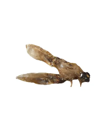 Zajačie ucho NATURAL - sušené