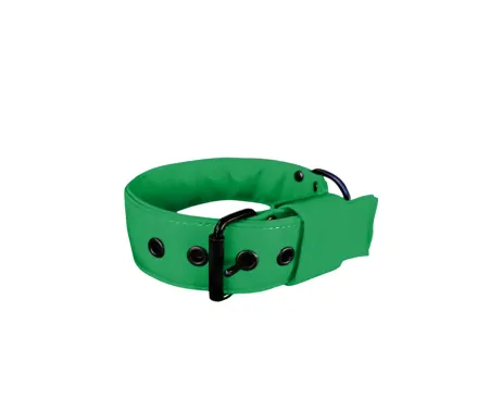 Softshellový obojok LARON zelený