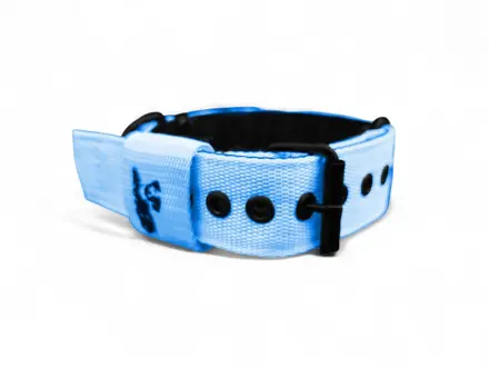 Popruhový obojok LARON baby blue