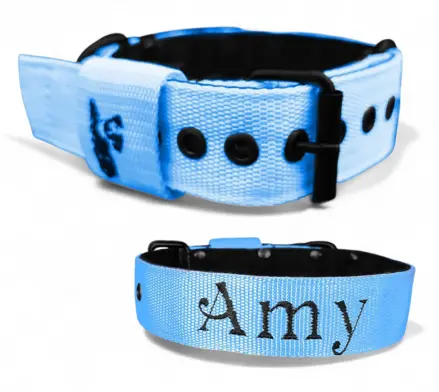 Popruhový obojok LARON s menom baby blue