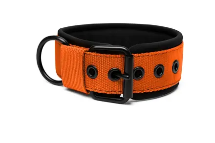 Popruhové obojky LARON Comfort oranžový