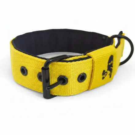 Popruhový obojok LARON žltý