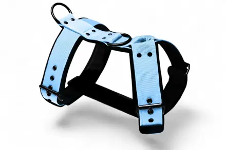 Popruhový postroj LARON Comfort baby blue 