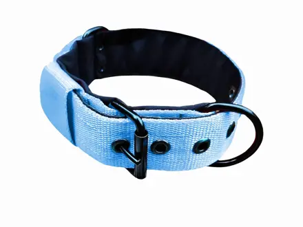 Popruhový obojok LARON baby blue