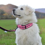 Popruhové obojky LARON Comfort ružový