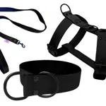Set obojok sťahovací alebo polosťahovací, vodítko LARON a postroj – ručne šitý popruhový set so softshellom Set obojok sťahovací alebo polosťahovací, vodítko LARON a postroj – ručne šitý popruhový set so softshellom