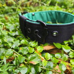 Obojok pre psov L od LARON.sk – zelený softshell s čiernym popruhom, ideálny na turistiku a výlety Obojok pre psov L od LARON.sk – zelený softshell s čiernym popruhom, ideálny na turistiku a výlety