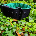 Nastaviteľný psí obojok L, šírka 4 cm, čierny popruh a zelený softshell, odolný a ľahko čistiteľný Nastaviteľný psí obojok L, šírka 4 cm, čierny popruh a zelený softshell, odolný a ľahko čistiteľný