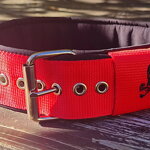 Popruhové obojky LARON Comfort červený