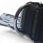 Popruhový obojok LARON 4cm s menom, uchom (rúčka) 