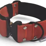 Popruhový obojok s taktickou sponou LARON  2,5 cm a menom