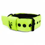 Detail zeleného obojka Laron s pevnou prackou a kovovým D-krúžkom