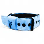 5 cm, obvod 52 - 62 cm obojok LARON  baby blue