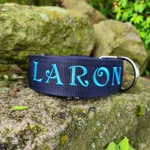 Popruhový obojok LARON s menom červený Popruhový obojok LARON s menom červený