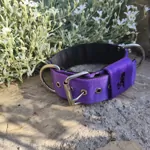 Personalizovaný popruhový obojok s menom LARON fialový Personalizovaný popruhový obojok s menom LARON fialový