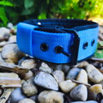 Obojok pre psa LARON Comfort – odolný obojok na mieru so softshellom