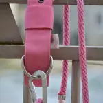 Jemný ružový obojok pre psa – praktický a elegantný doplnok