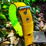 Jednofarebný žltý obojok pre psa – pevný a praktický