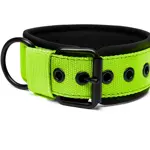 Zelený popruhový obojok LARON Comfort s vyvýšeným softshellovým golierom