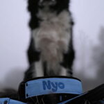 Popruhový obojok LARON 4cm s menom, uchom (rúčka) 