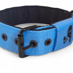 Popruhový obojok LARON baby blue