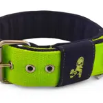 Popruhový obojok LARON 5 cm s menom, uchom (rúčka) 