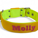 Popruhový obojok LARON 4cm s menom, uchom (rúčka) 