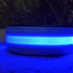 Popruhový obojok LARON svietiaci zelený