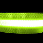 Popruhový obojok LARON svietiaci zelený