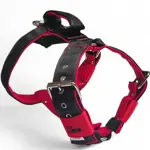  Popruhový postroj LARON  5 cm