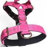 Popruhový postroj LARON ružový