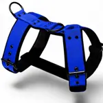 Modrý popruhový postroj Laron Comfort s mäkkým zimným softshellom pre pohodlné nosenie