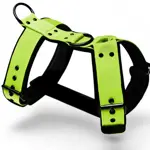 Zelený postroj pre psa LARON Comfort – ručne šitý, podšitý softshellom
